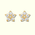 Star Glass Stone Stud Earrings