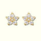 Star Glass Stone Stud Earrings